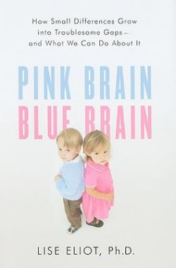 Pink Brain, Blue Brain: How Small Differences Grow Into Troublesome Gaps -- And What We Can Do About It